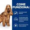 Hill's Prescription Diet Canine z/d ULTRA Allergen-Free food sensitivities alimento secco 10 Kg  offerta prezzo al kg / € 7,59
